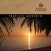 David Arkenstone - Tropical Morning