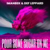 Def Leppard - Pour Some Sugar On Me