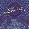 Shakti with John McLaughlin - This Moment