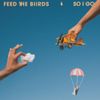 Feed The Biirds - So I Go
