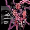 Bi-Visceralidad