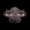 SOFIA ISELLA - Us and Pigs
