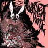 Fiends - Insolent Noise