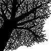 Robinbird - Nest