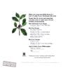 Jim Croce - A Jim Croce Christmas Programming Sampler