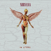 Nirvana - In Utero [30th Anniversary Super Deluxe]