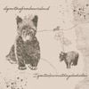 Ispentsixhourswatchingshockvideosyesterday - Departmefrombearisland / Ispentsixhourswatchingshockvideosyesterday