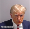 Needlepeen - Polidicks