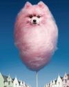 Ruben Slikk - CANDYFLOSS