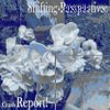 Shifting Perspectives - Crash Report!
