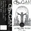 Abnegation - ...As Stone Strikes the Cedar