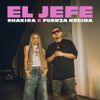 Shakira - El Jefe