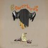 Bowerbirds - Hymns for a Dark Horse