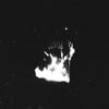Show Me the Body - CORPUS I