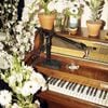 Emile Haynie - Wait for Life