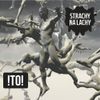 Strachy na Lachy - !to!