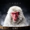 Slow J - The Art of Slowing Down