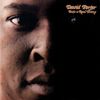 David Porter - ...Into a Real Thing