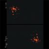 Maggie Rogers - On + Off