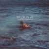 Passion Pit - Tremendous Sea of Love