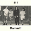311 - Dammit!