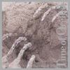 Time of Orchids - Sarcast While