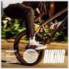 Frank Ocean - Biking