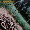 Flatwounds - Down