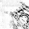 Paintscratcher - hope