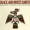 Black and White Raven