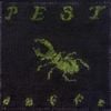 Daffo - Pest