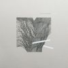 Daigo Hanada - Ichiru