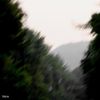 hkmori - forever