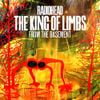Radiohead - The King of Limbs: From the Basement