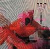 Antipop Consortium - Antipop vs. Matthew Shipp