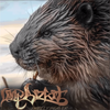 Limp Bizkit - Smelly Beaver
