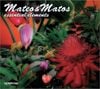 Mateo & Matos - Essential Elements [Reissue]