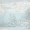 Vapora - Winter Fog