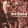 No Cure - The Commitment to Permanence