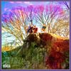 JResonance - In Living Color!