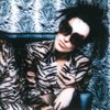 Kayah - Zebra