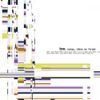 toe - songs, ideas, we forgot