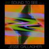 Jesse Gallagher - Sound To See &asymp; Visual Music, Vol. 2