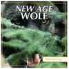 Robert W. Baldwin - New Age Wolf