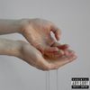 Ronce - Cr&egrave;ve