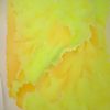 Fresh Cut Slim - A Tiny Mustard Stain