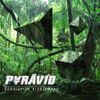 Pyravid - GooglePlex Bionetwork