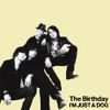 The Birthday - I'm Just a Dog