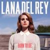 Lana Del Rey - Born To Die (Deluxe Edition)