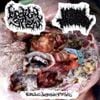 Larval Therapy - Podridos, Destrozados, y Mutilados (Larval Therapy x Bodily stew Split
